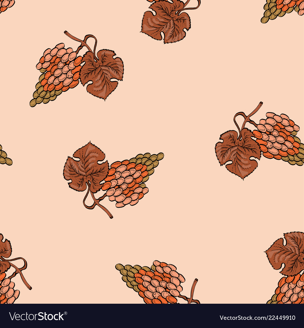 Grape seamless calligraphy coloured pattern