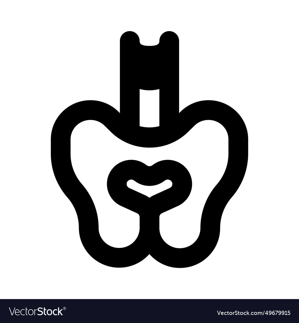 Pelvis in humaner anatomischer Beckenform