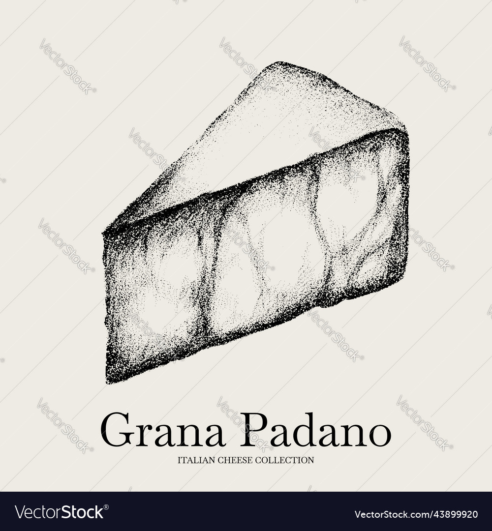 Hand drawn of grana padano cheese template