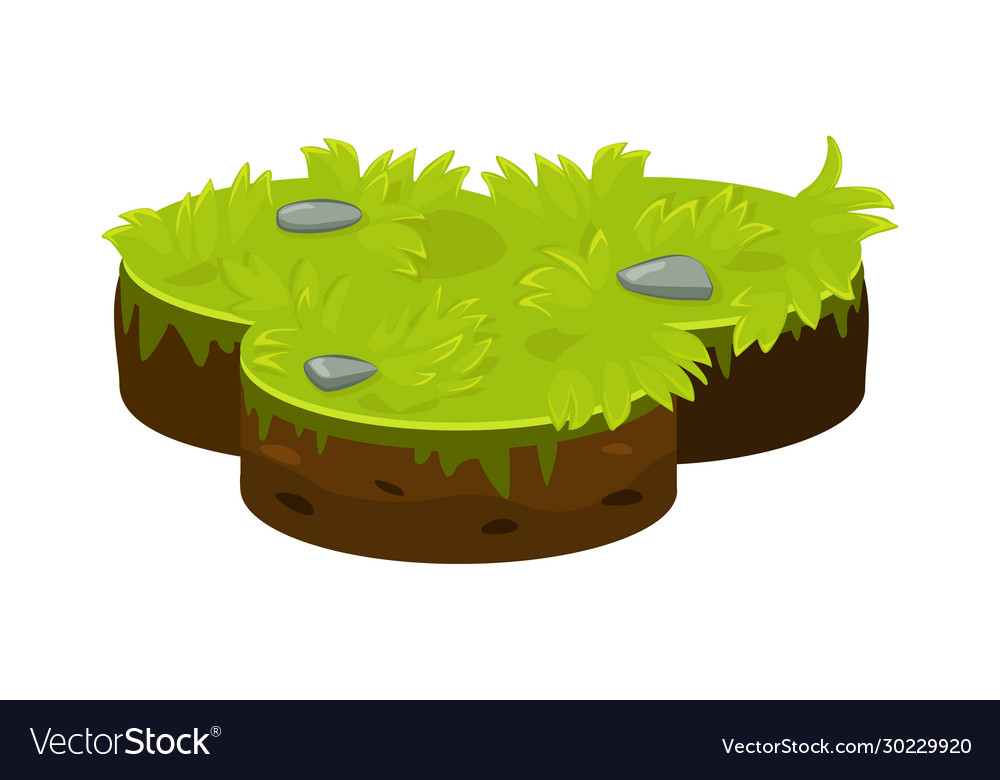 Isometric ground island platform with green grass Vector Image