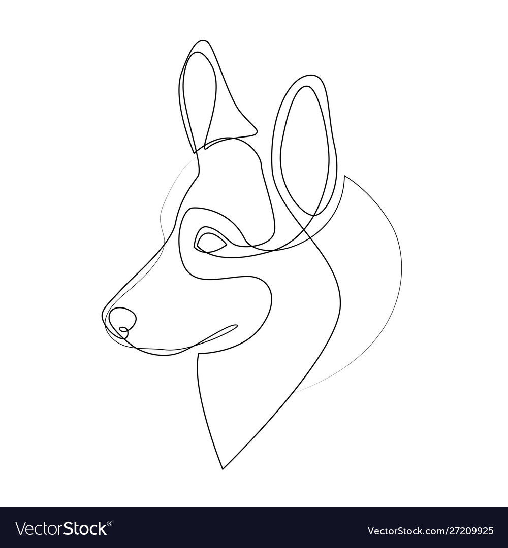 Continuous line welsh corgi pembroke single Vector Image