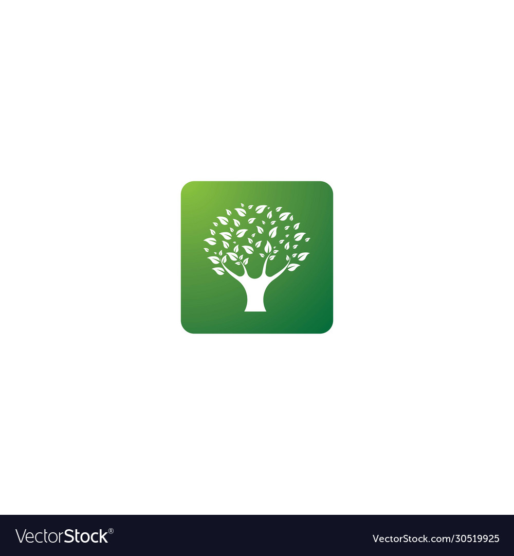 Tree leaf logo design