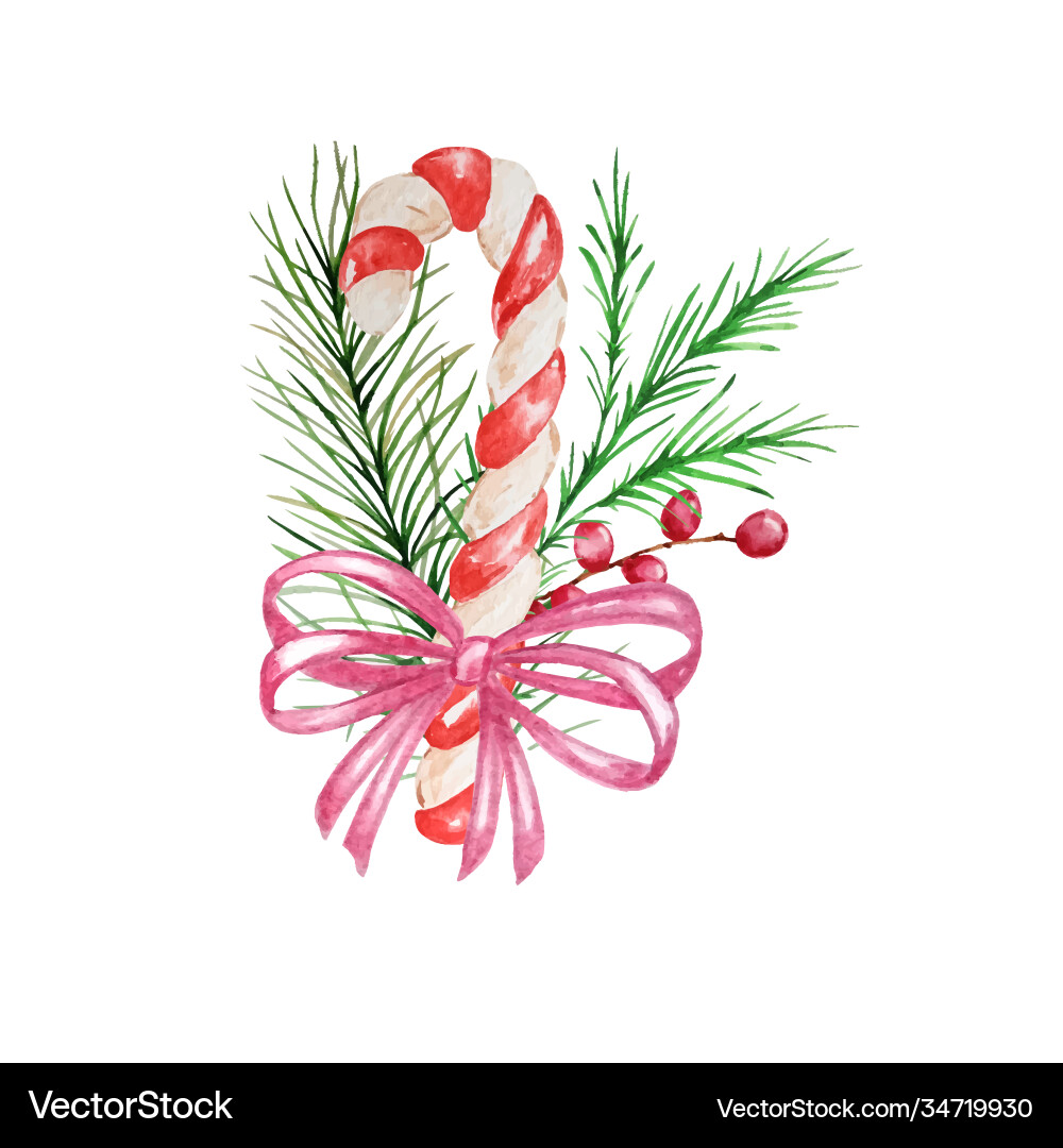 Watercolor christmas candy cane with decor Vector Image