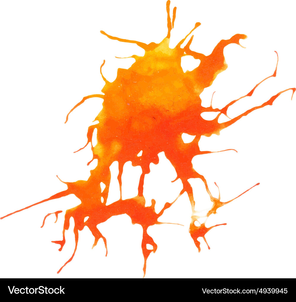 Beautiful traced watercolor splatter Royalty Free Vector