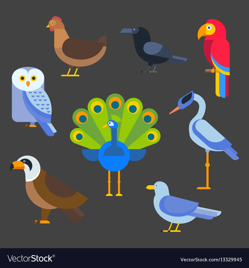 Birds set isolated Royalty Free Vector Image VectorStock