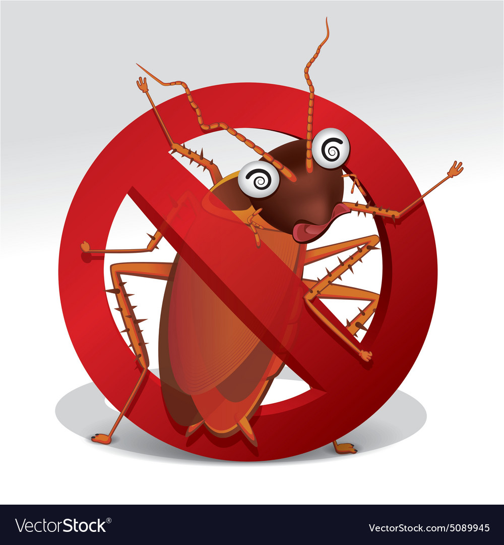 Cockroach 01