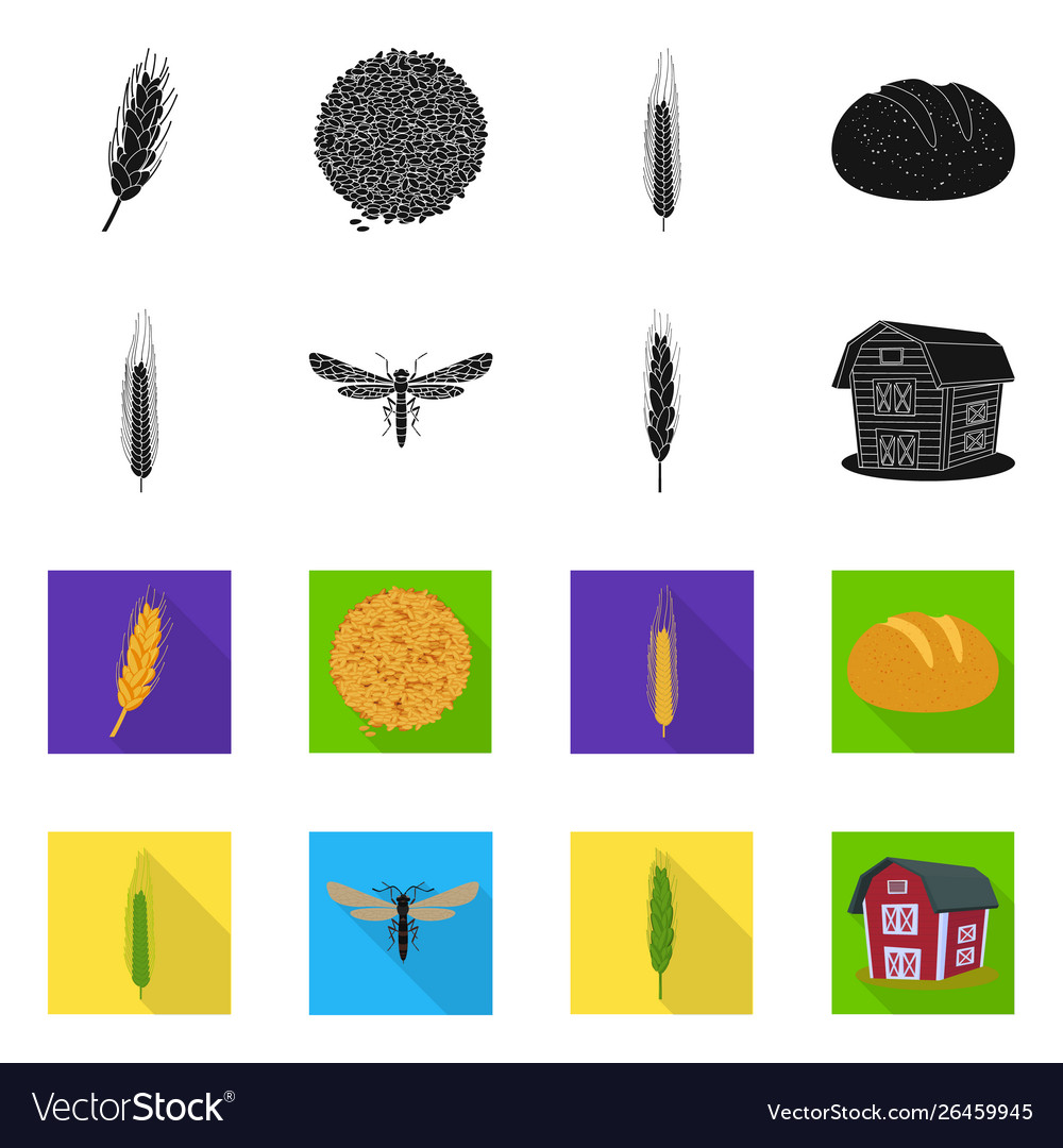 Isolated object agriculture and farming icon