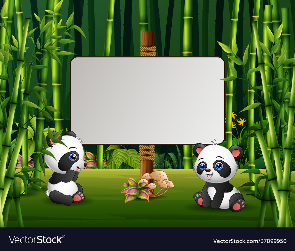 Cartoon zwei Pandas sitzen auf grünem Feld vector image Cartoon zwei Pandas sitzen auf grünem Feld