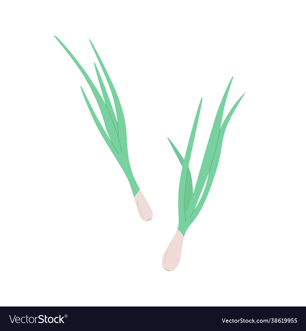 Green onion flat icon on white background