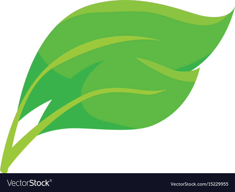 Leaves icon image Royalty Free Vector Image - VectorStock