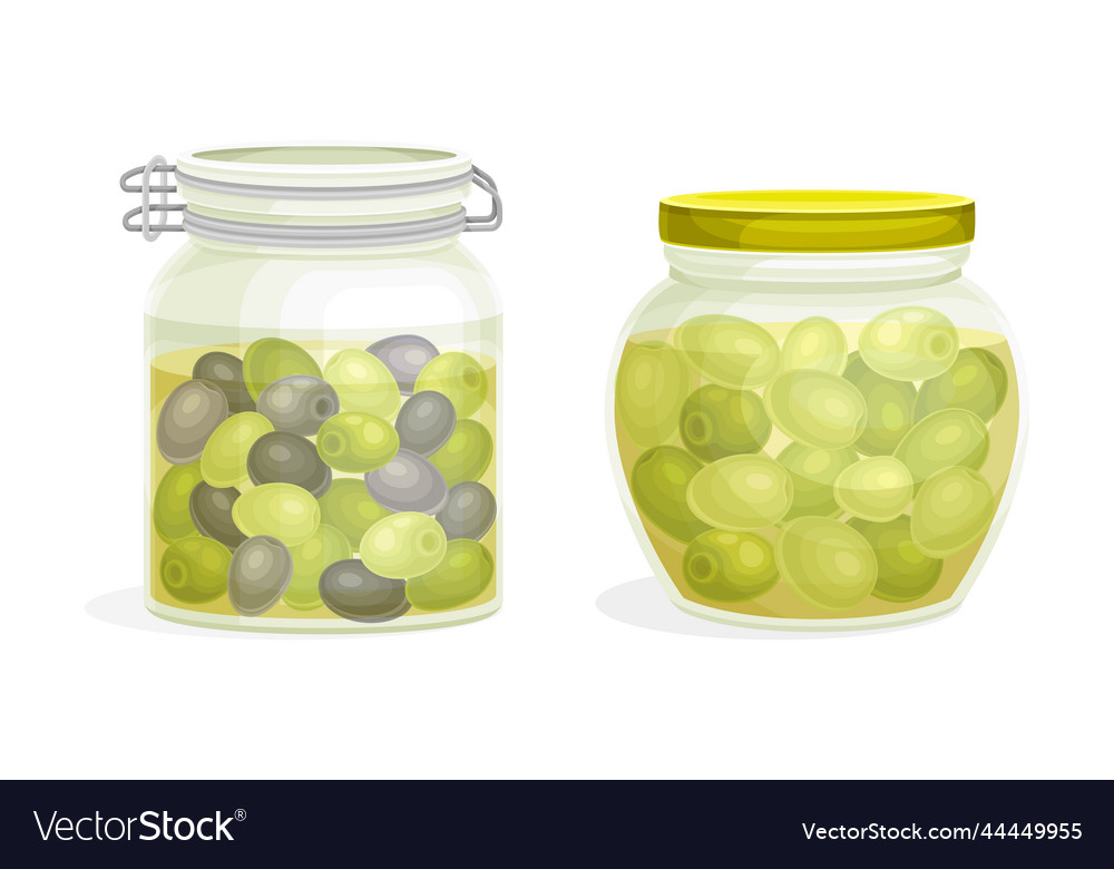 Olives in canned jar as marinated and preserved Vector Image