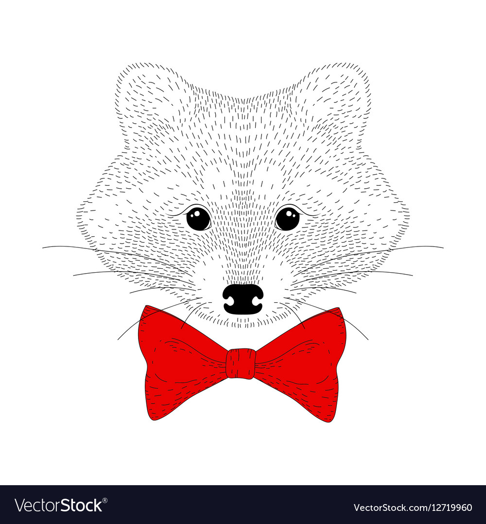 Fröhlicher Waschbär mit Schleife