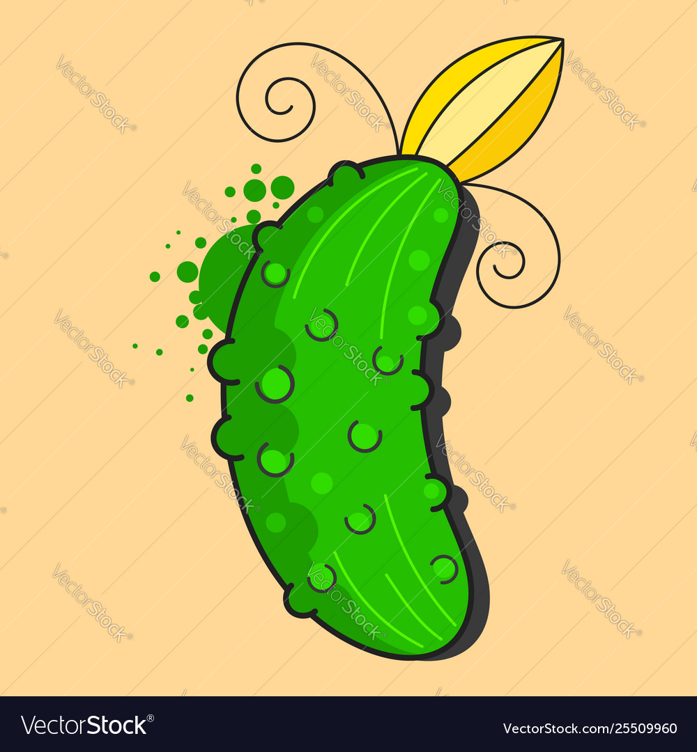 Realistic cucumber isolated on light background