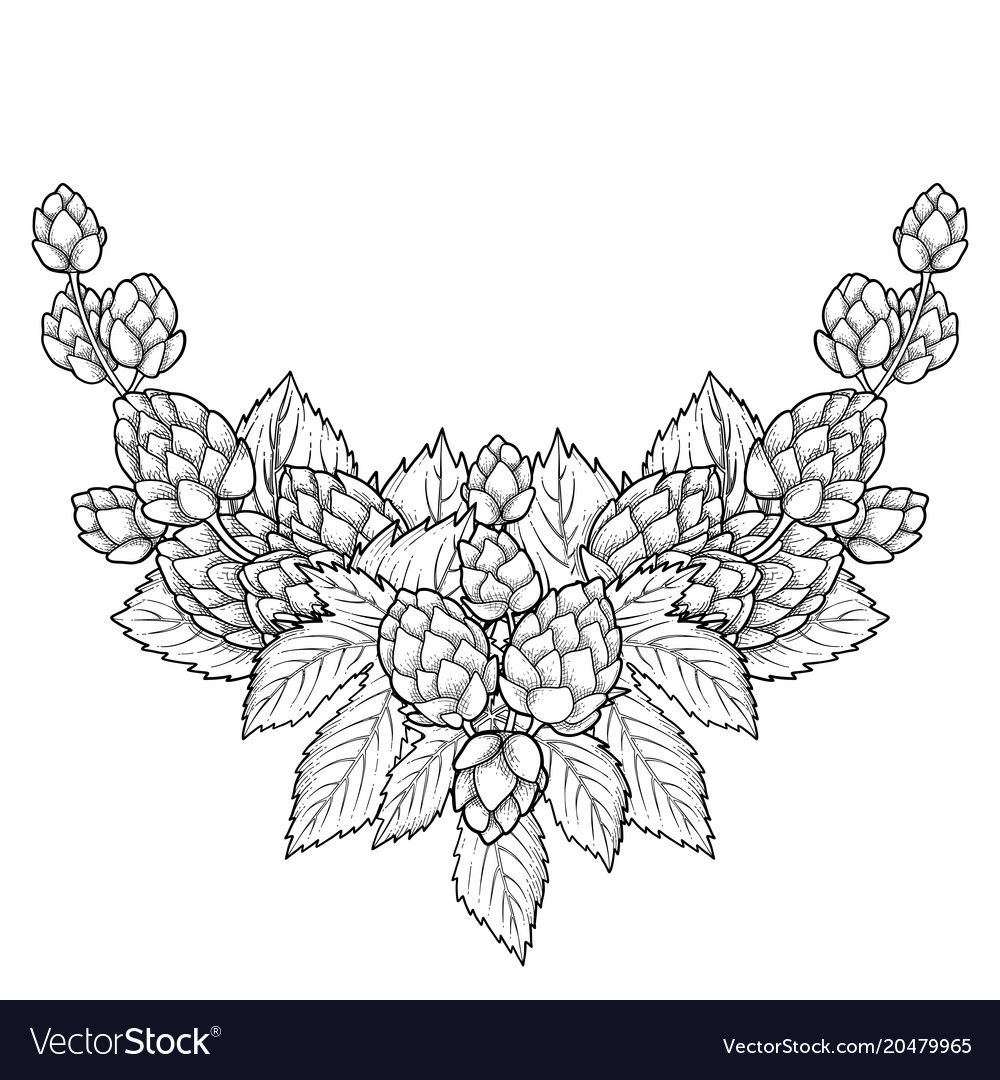 Graphic hop Royalty Free Vector Image