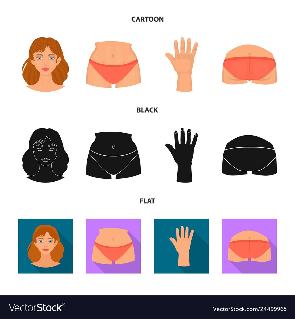 Isolated object of body and part symbol set vector image Isolated object of body and part symbol set