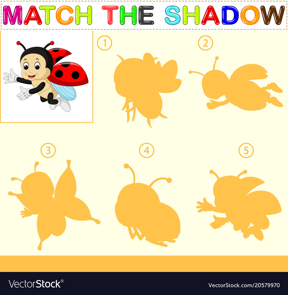 Finden Sie den richtigen Schatten von ladybug