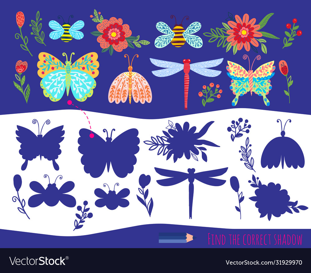 Matching educational games for kids find Vector Image