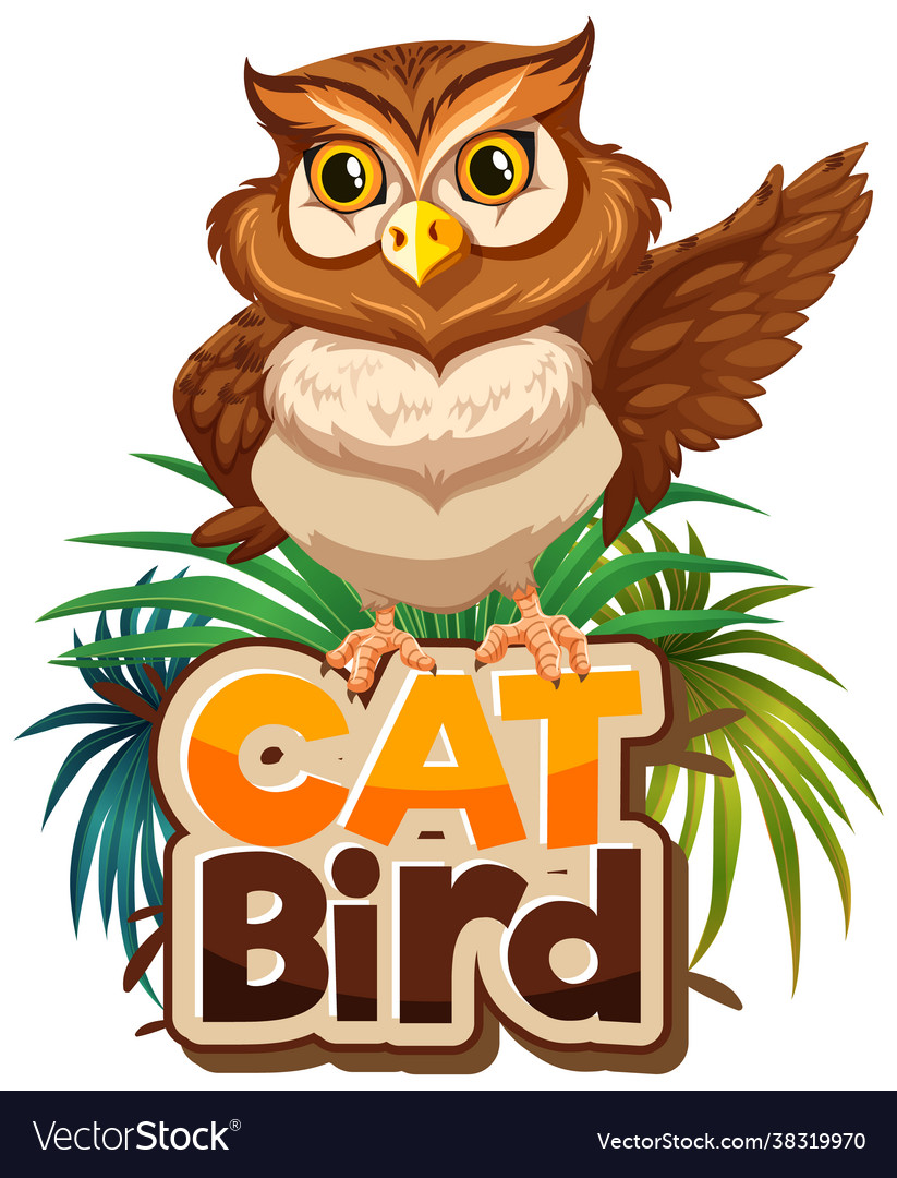 Owl cartoon character with cat bird font banner