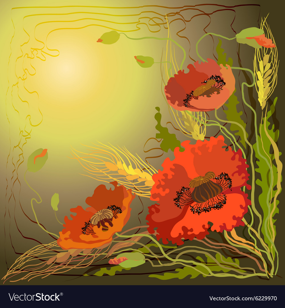 Red and orange poppy flowers spike lets