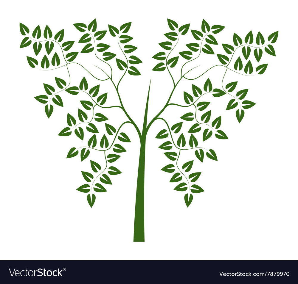 Tree on white background