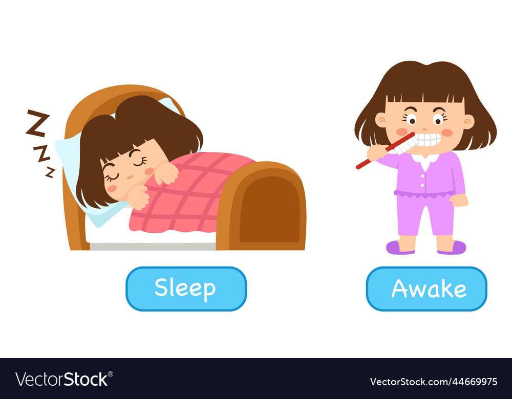 Opposite words asleep and awake Royalty Free Vector Image