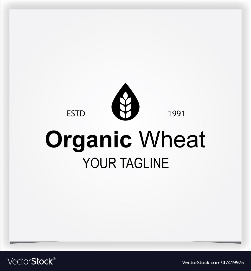 Water wheat logo premium elegant template eps 10