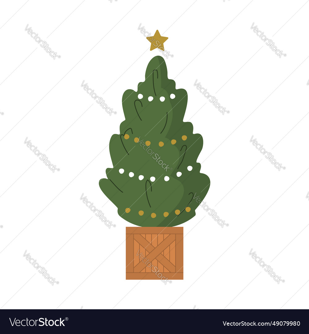 Christmas tree in wooden box holiday green pine