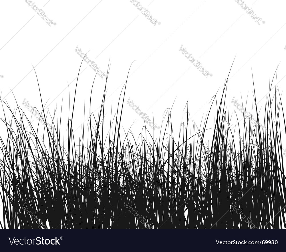 Grass Royalty Free Vector Image - VectorStock