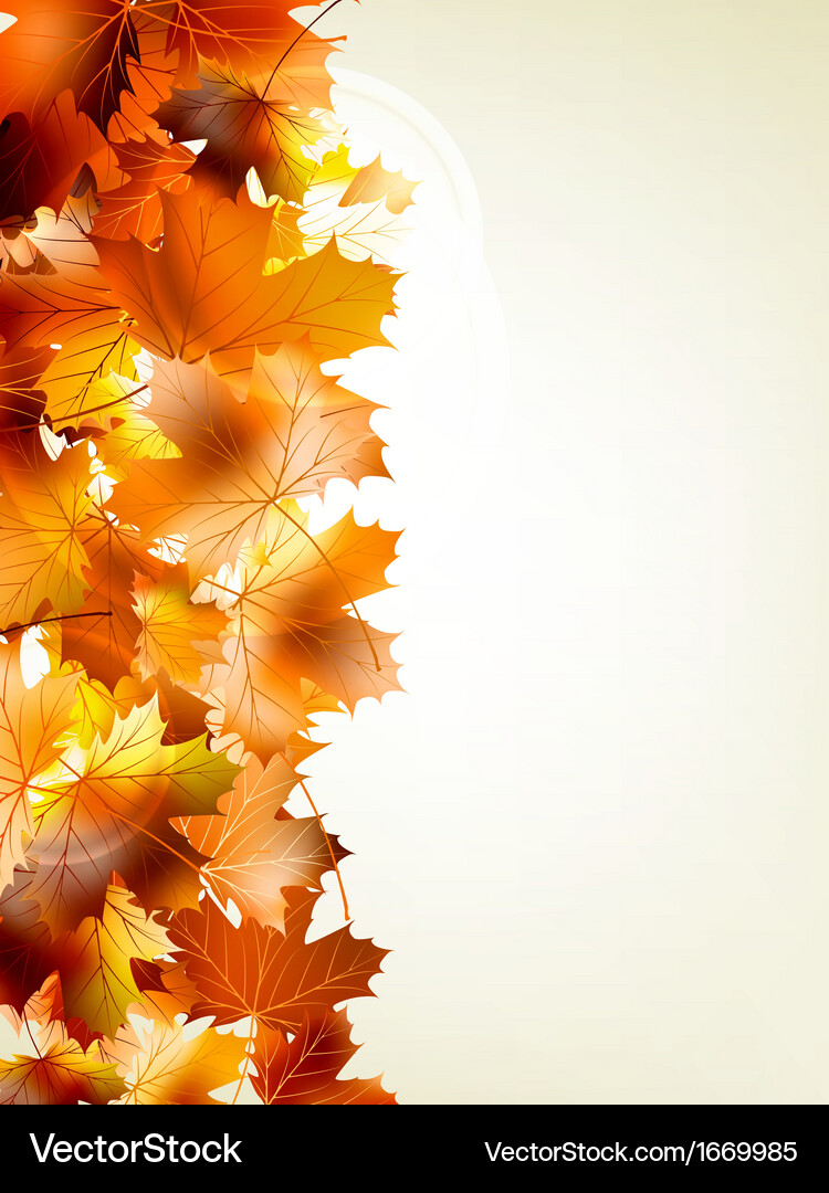 Autumn Maple Leaf Sunlight Background Royalty Free Vector
