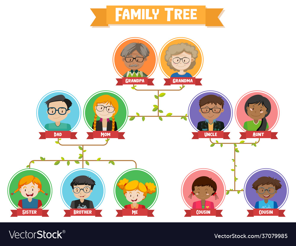 Diagram showing three generation family tree Vector Image