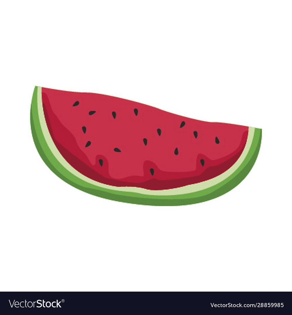 Watermelon fruit icon flat design Royalty Free Vector Image