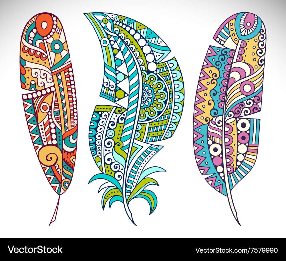 Set feather Royalty Free Vector Image - VectorStock