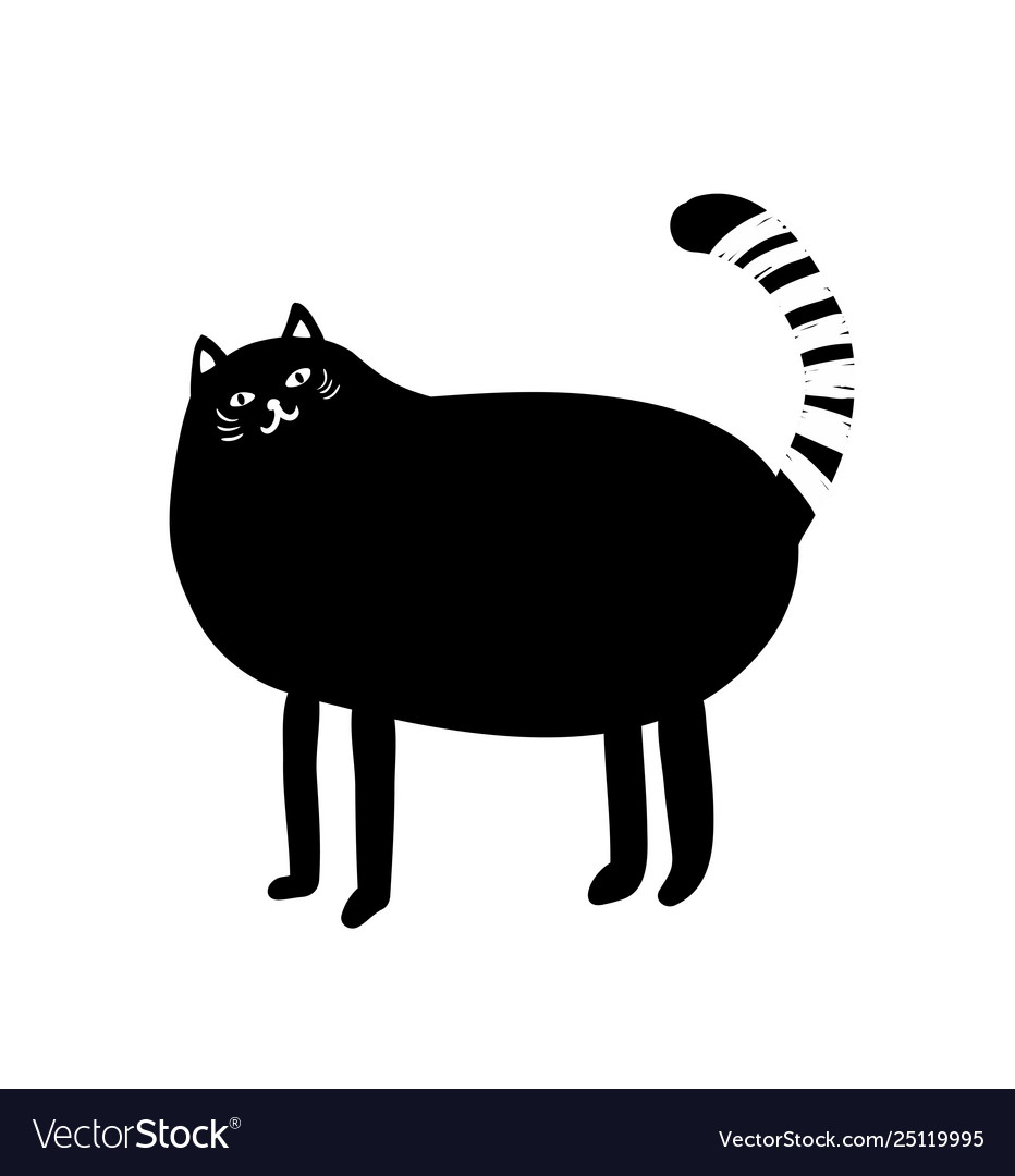 Fat white and black cat