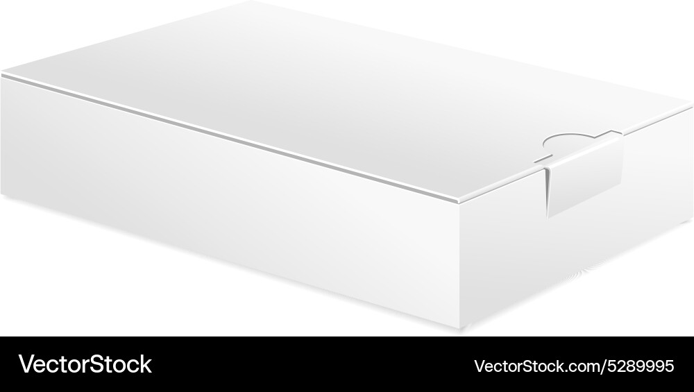 Realistic white package box for software Vector Image