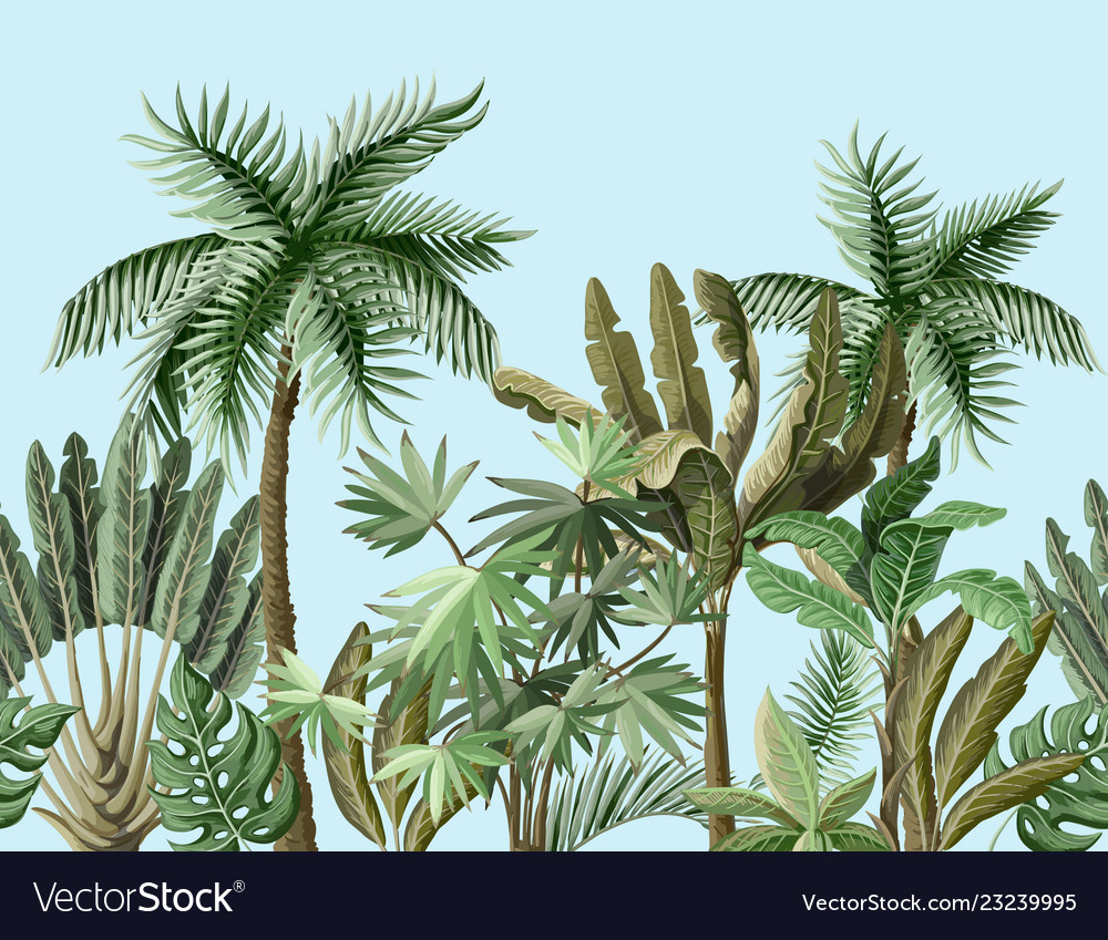 Top 102+ Wallpaper Palm Tree Border Clip Art Updated