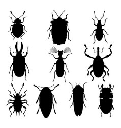 Animal Silhouettes Vector Images (over 380,000)