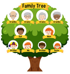 Diagram showing three generation family tree Vector Image