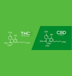 Cbd molecular formula cannabidiol molecule Vector Image