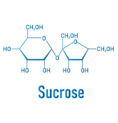 Sucrose sugar molecule skeletal formula Royalty Free Vector