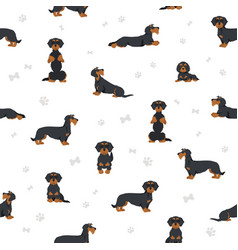 Yoga dogs poses and exercises dachshund seamless Vector Image