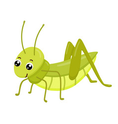 Isolated cute green grasshopper Royalty Free Vector Image