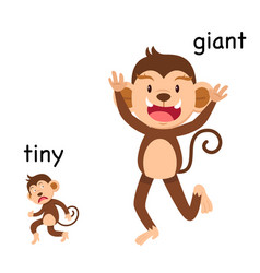 Opposites Monkey Vector Images (over 160)