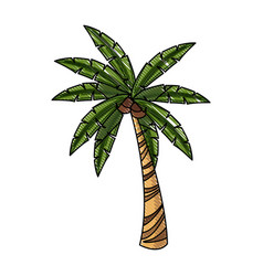 Tropical leaves palm tree plant Royalty Free Vector Image