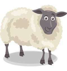 Sheep farm animal cartoon Royalty Free Vector Image