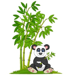 Cartoon panda eating bamboo Royalty Free Vector Image