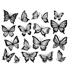 butterfly stencil vector images over 550