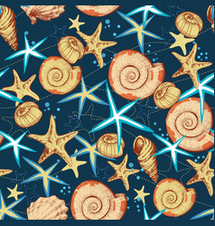 Sea horse seamless pattern marine life print Vector Image