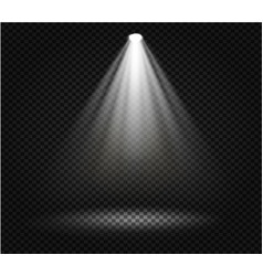 Light effect on transparent background eps 10 Vector Image