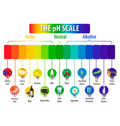 Ph scale universal indicator test strips Vector Image