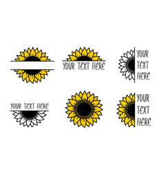 Parts of the flower worksheet in black and white Vector Image